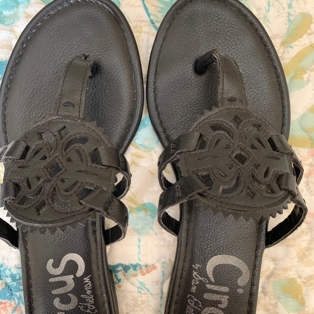 Circus by Sam Edelman